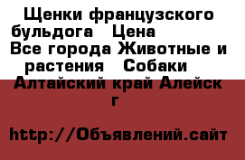 Щенки французского бульдога › Цена ­ 30 000 - Все города Животные и растения » Собаки   . Алтайский край,Алейск г.